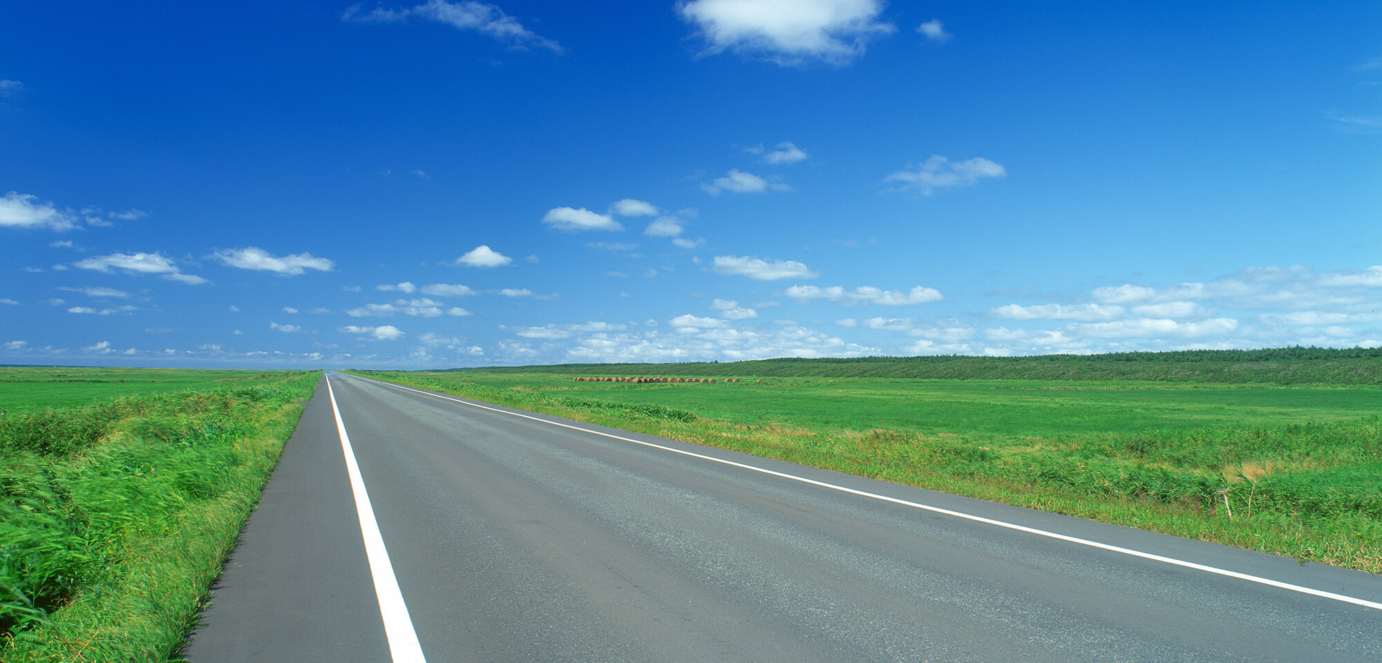 税理士法人　若宮会計