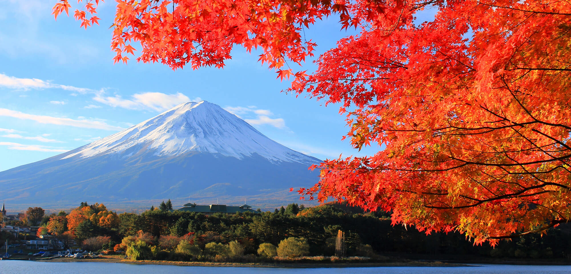 税理士法人　若宮会計